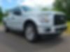 1FTEW1EP9HFB22008-2017-ford-f-150-0