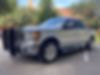 1FTFW1CV1AFD03759-2010-ford-f-150-0