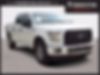 1FTEW1E83HFC76531-2017-ford-f-150