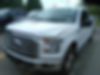 1FTEX1EP9HFB07683-2017-ford-f-150