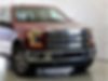 1FTEW1EF6GFD06389-2016-ford-f-150-0