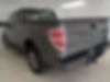 1FTFX1CFXDFD31411-2013-ford-f-150-2