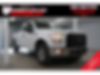 1FTEX1EP7FFC20657-2015-ford-f-150-0