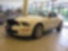 1ZVHT88S295132348-2009-ford-mustang-0