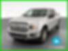 1FTEW1EP4JFA91224-2018-ford-f-150-0