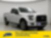 1FTEX1EP1HFB15440-2017-ford-f-150-0
