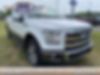 1FTEW1EF8FKD00213-2015-ford-f-150-0