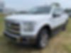 1FTEW1EF8FKD00213-2015-ford-f-150-2