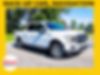 1FTEW1EP9JFE11637-2018-ford-f-150-0