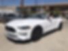 1FATP8UH3K5149005-2019-ford-mustang-1