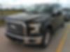 1FTEW1EP1HFA08407-2017-ford-f-150-0