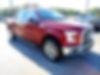 1FTEW1EP1GFA78973-2016-ford-f-150-0