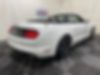 1FATP8UH3K5150901-2019-ford-mustang-1