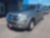1FMJK1J50BEF10073-2011-ford-expedition-1