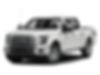 1FTEW1CG3FFD09065-2015-ford-f-150-0