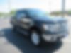 1FTFW1ET1DFB34052-2013-ford-f-150-0
