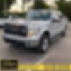 1FTFW1ET0DFC40086-2013-ford-f-150-0