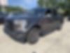 1FTEW1EP3HFB20674-2017-ford-f-150-1