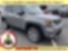 ZACNJBD19LPL69890-2020-jeep-renegade