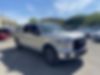 1FTEW1EP8GFA98993-2016-ford-f-150-0