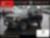 ZACCJBBTXGPD62788-2016-jeep-renegade