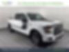 1FTEW1EP1HFA08584-2017-ford-f-150-0