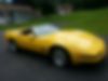 1G1YY338XM5106343-1991-chevrolet-corvette-2
