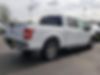 1FTEW1CP0LKD71865-2020-ford-f-150-2