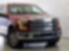 1FTEW1EF6GFD06389-2016-ford-f-150-1