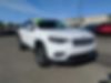 1C4PJMDXXKD304314-2019-jeep-cherokee