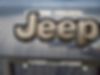 3C4NJDBBXLT258137-2020-jeep-compass