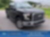 1FTEX1EP9GFD30286-2016-ford-f-150