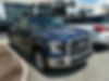 1FTEW1C80GFA08196-2016-ford-f-150-0