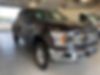 1FTEW1EP8JFD76203-2018-ford-f-150-0