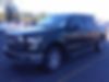 1FTEW1EP0FFB99587-2015-ford-f-150-0