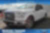 1FTEW1CP0HFB05911-2017-ford-f-150-0