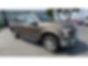 1FTEW1EP1GFA86698-2016-ford-f-150-0