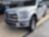 1FTEW1EGXFKD60275-2015-ford-f-150-2
