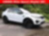 SALCP2FX2KH796594-2019-land-rover-discovery-sport-0
