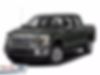 1FTEW1CP8GKD86961-2016-ford-f-150