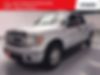1FTEW1CMXDKF06664-2013-ford-f-150-0