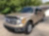 1FTFW1CT5DFD37724-2013-ford-f-150-0