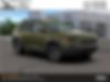 1C4PJMBX3LD636955-2020-jeep-cherokee