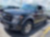 1FTFW1ET4DFB65229-2013-ford-f-150-0