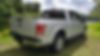 1FTEW1CF4GKF91376-2016-ford-f-150-2