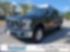1FTEW1E83HKE33997-2017-ford-f-150-0