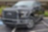 1FTEW1EP5HFC01515-2017-ford-f-150-0