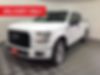 1FTEW1EP2HKD25264-2017-ford-f-150-0