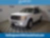 1FMJU1H56BEF16704-2011-ford-expedition-0