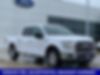1FTEW1CP5GKD15541-2016-ford-f-150-0